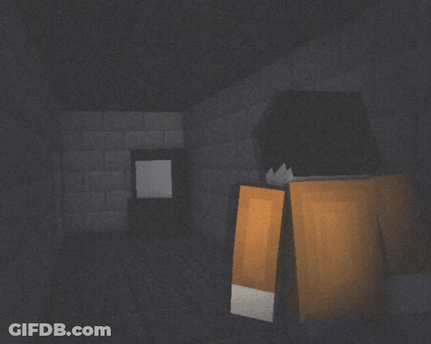 Vhs Screen Effect Roblox Character GIF