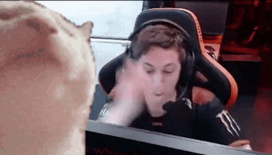 Vibing Cat Fnatic VALORANT GIF