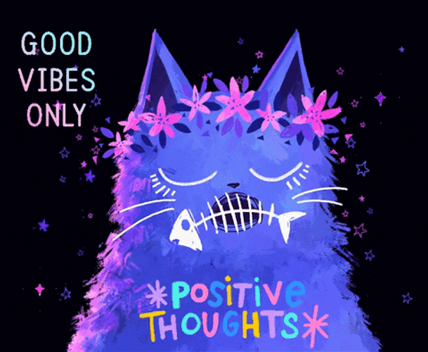 Vibing Cat Good Vibes Only GIF