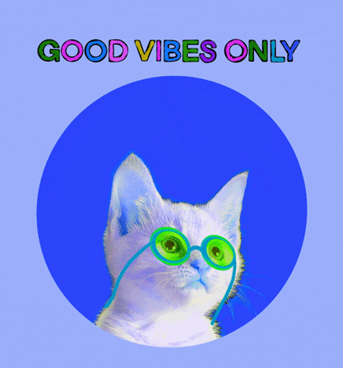 Vibing Cat Good Vibes Only GIF