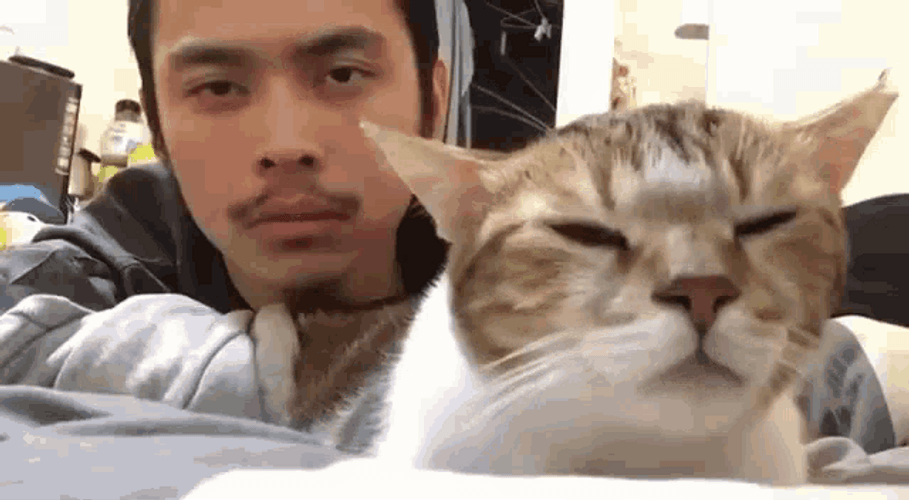 Vibing Cat Guy Nodding Music GIF