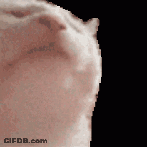 Vibing Cat Sticker GIF
