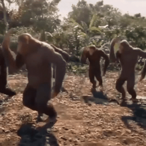Vibing Dancing Monkey GIF