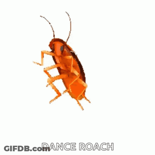 Vibrant Colors Dancing Cockroach GIF
