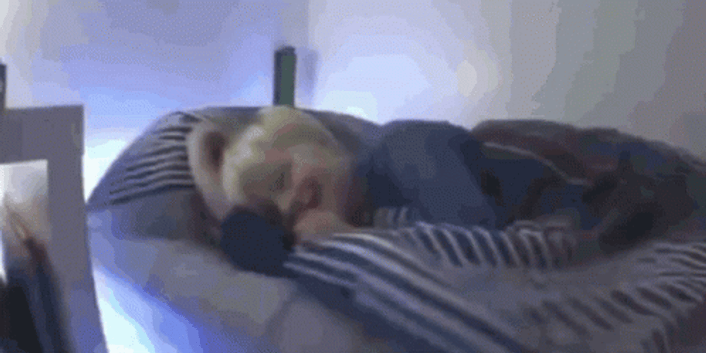 Vibrating Bed Shake Lights GIF