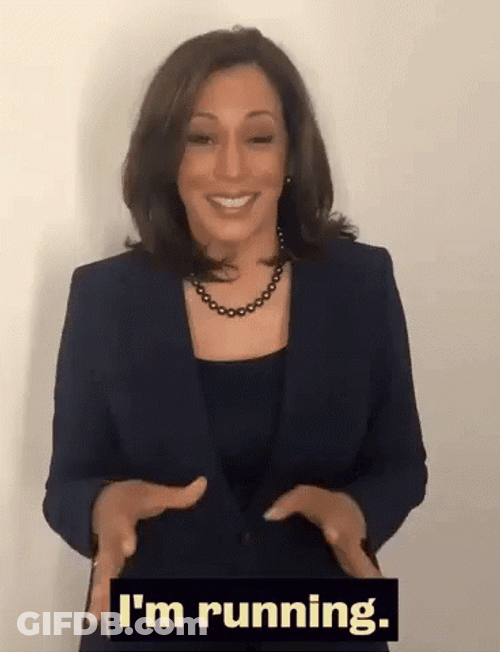 Vice President Kamala Harris Running For President GIF
