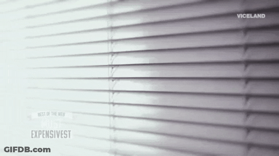 Viceland Spy Through Blinds GIF