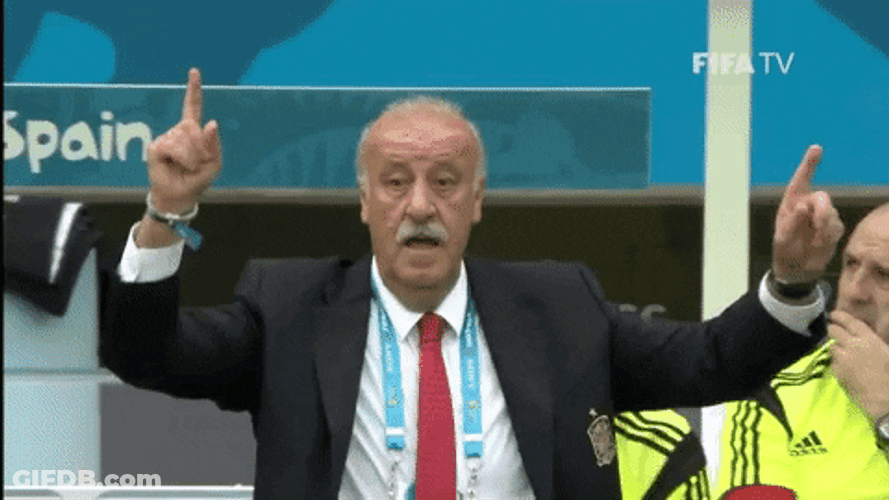 Vicente Del Bosque Coaching GIF