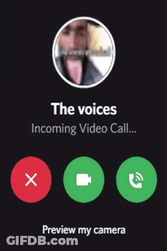 Video Call Incoming Voice Preview GIF