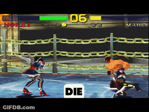 Video Game Boxing Match Between Honey And Mahle GIF