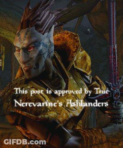 Video Game Character Approved By True Nerevarine GIF