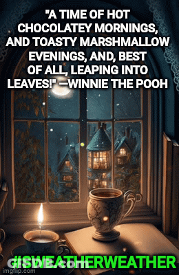 Video Game Character Asking About Sweater Weather GIF