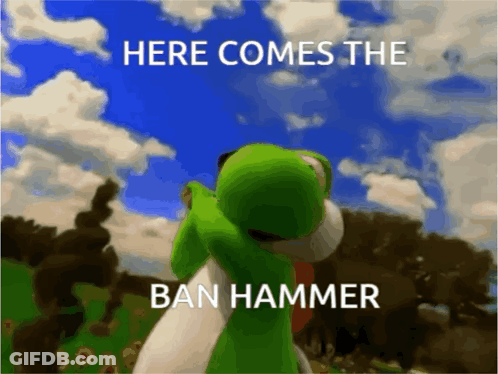 Video Game Character Here Comes The Ban Hammer GIF