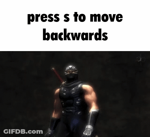 Video Game Character Holding Sword Press S To Move Backwards GIF