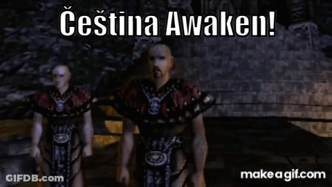 Video Game Character Says Cestina Awaken GIF