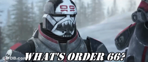 Video Game Character Says What's Order 66 GIF