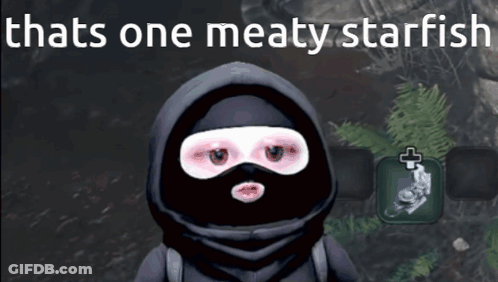 Video Game Character Wearing Mask Saying That's One Meaty Starfish GIF