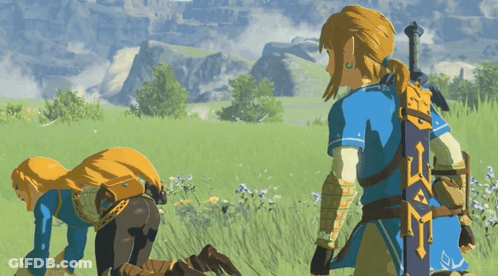 Video Game Character With Sword Saying Zelda GIF