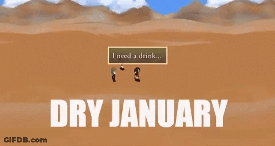 Video Game Dry January GIF