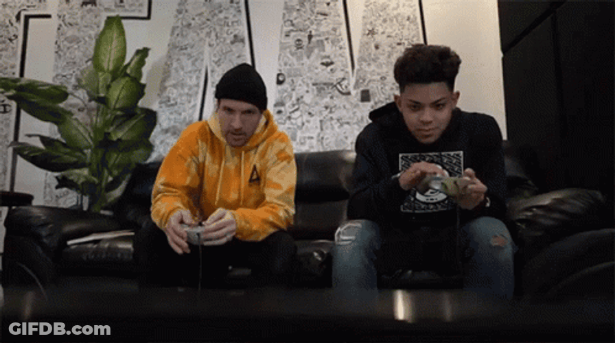 Video Game Duo GIF