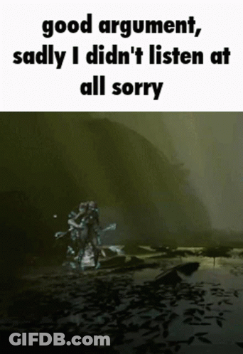 Video Game Good Argument Sadly I Didn't Listen At All Sorry GIF