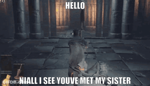 Video Game Hello Niall Youve Met My Sister GIF