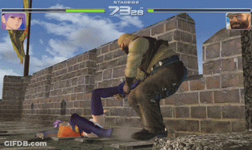 Video Game Man Kicking Woman Face Number 73 GIF