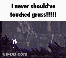 Video Game Saying I Never Should've Touched Grass GIF