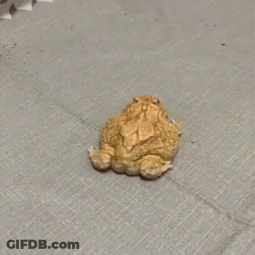 Video Game Saying Press Start Button GIF