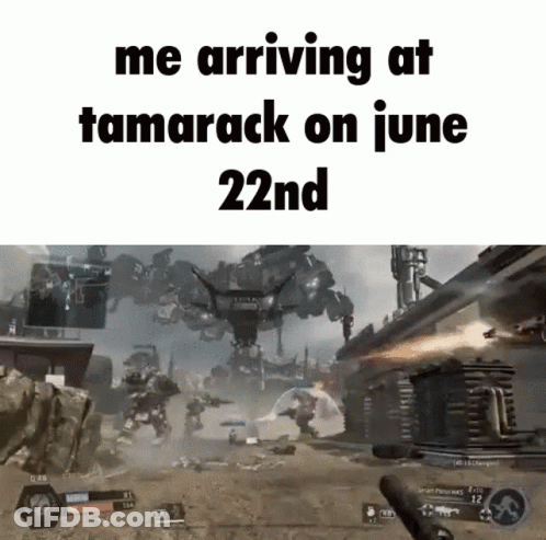 Video Game Scene Me Arriving At Tamarack June 22Nd GIF