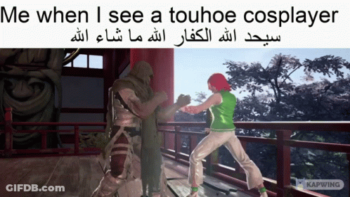 Video Game Scene Me When I See Touhhoe Cosplayer GIF