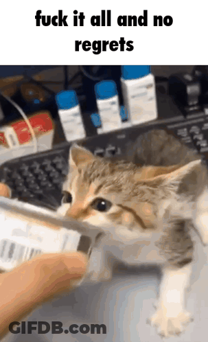 Video Game Scene Super Accurate Representation BTW GIF