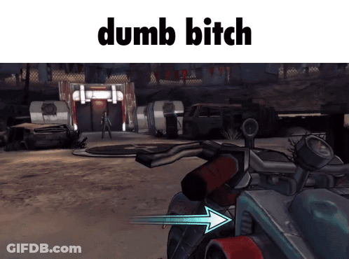 Video Game Screenshot Dumb Bitch GIF