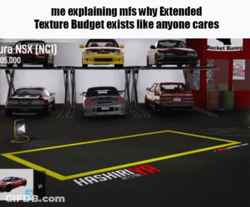 Video Game Screenshot Me Explaining Mfs Why Extended Texture Budget Exists GIF