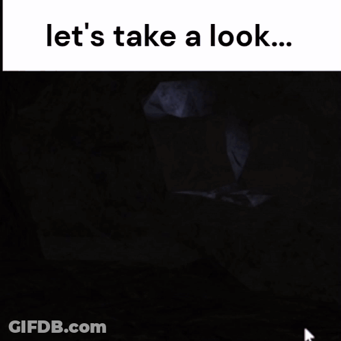 Video Game Screenshot Saying Let's Take A Look GIF