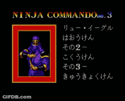 Video Game Screenshot Saying Ninja GIF