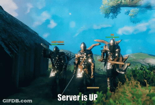 Video Game Screenshot Server Is Up GIF