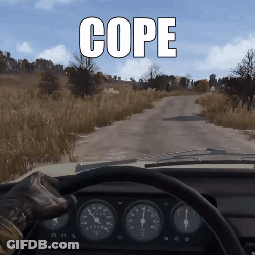 Video Game Screenshot With Cope GIF