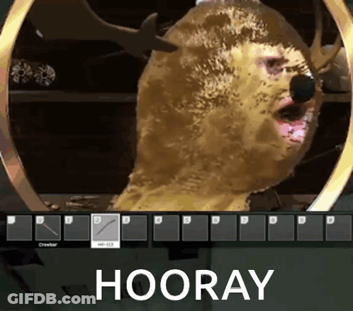 Video Game Screenshot With Hooray GIF