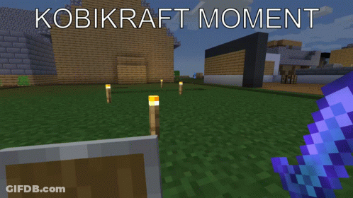 Video Game Screenshot With Kobikraft Moment GIF