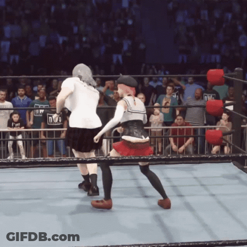 Video Game Suplex Special GIF