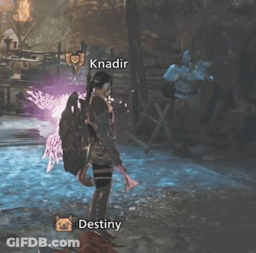 Video Game With Knadir And Destiny GIF