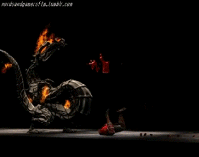 Video Games Fatality Finish Him GIF