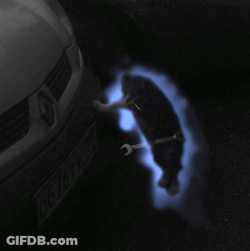 Viens La ! Viens La ! GIF
