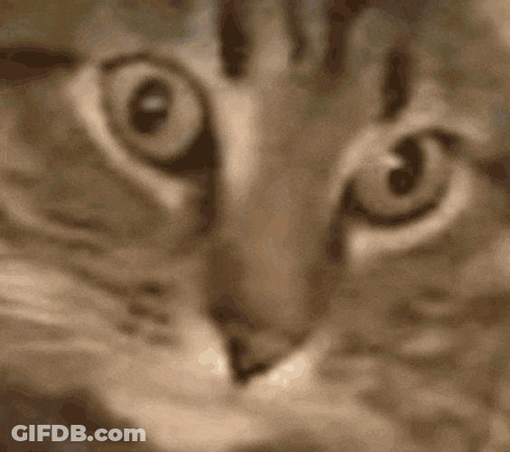 Vietnam Flashback Traumatized GIF