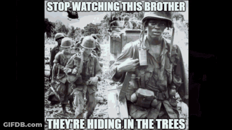 Vietnam Vietnam Flashback GIF