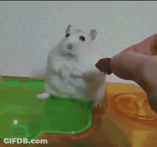 Vietnamflashback GIF