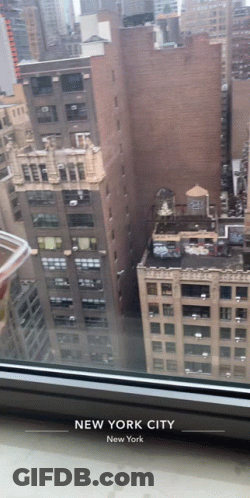 View Of New York City From Window GIF