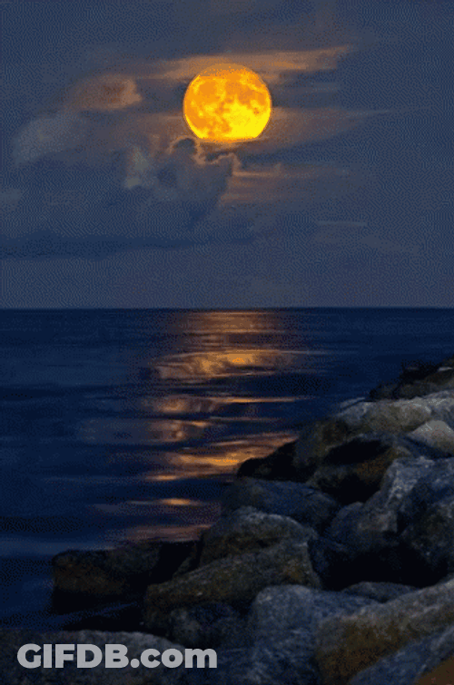View Of Yellow Super Moon From Beach GIF