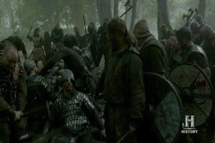 Vikings Celebrates Victory GIF